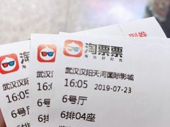 -汉阳天河电影城(王家湾店)