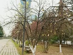 -陕西省游泳跳水馆