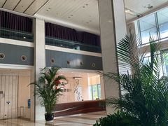 -杭州文化广播电视集团