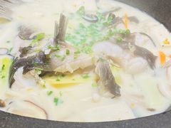 -滇色蒸汽石锅鱼(京华城店)