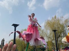 -荷兰花海