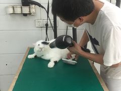 -贝贝宠物乐园(常青花园店)