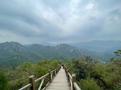 -大岭沟猕猴桃谷风景区