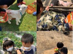 -前小桔亲子创意农场·草莓采摘·露营烧烤