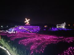 -大塘金香草谷