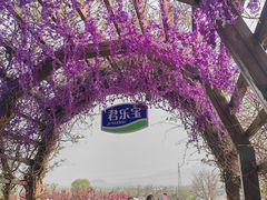 -君乐宝优致牧场