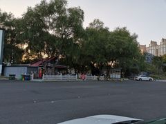 -枫花园汽车电影院(朝阳公园店)