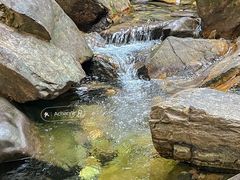 -鼎湖山风景区