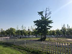 -上海浦江郊野公园·1号停车场