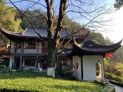 -十八棵（老龙井）御茶园(老龙井店)