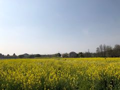 -广富林郊野公园