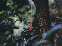 -道教老君洞