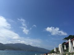 -珊瑚岛