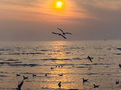 -老虎石海上公园