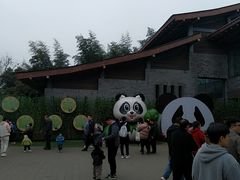 -都江堰中华大熊猫苑