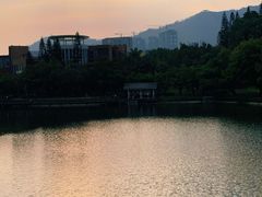 -四海公园(南山区)