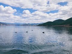 -丽江泸沽湖景区