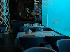 -瑞德姆美人鱼海底演艺主题餐厅(亚龙湾店)