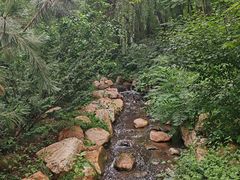 -大连植物园