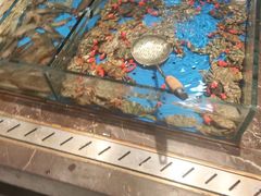 -尚宴牛特鲜自助(太原街万达店)