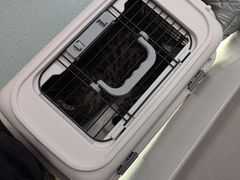 -瑞派·关忠动物医院·猫专科·犬专科(三环新城店)