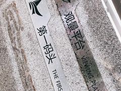 -演武大桥观景平台