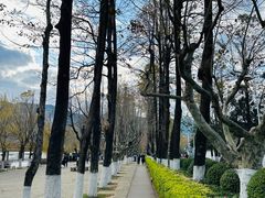 -滇池海埂公园