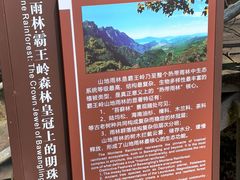 -霸王岭国家森林公园