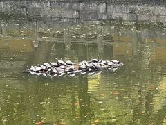 -阿育王寺