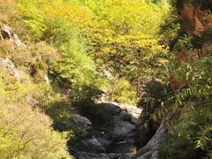 -云岫谷游猎自然风景区