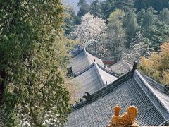 -潭柘寺景区