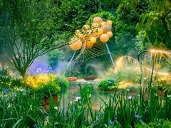 -深圳仙湖植物园