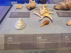 -中国（海南）南海博物馆
