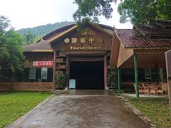 -莫里热带雨林景区