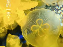 -正佳极地海洋世界