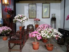 -惠山古镇·寄畅园