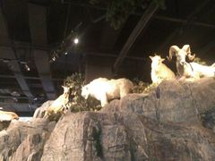 -陕西自然博物馆