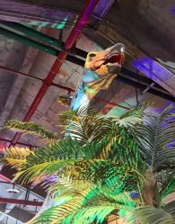 -恐龙探索乐园(磁器口店)