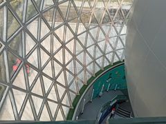 -陕西自然博物馆