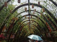 -厦门方特梦幻王国