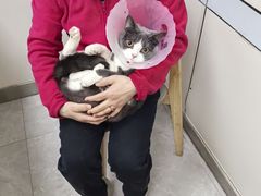 -中农国际动物医院24小时·猫科·骨科·急重症中心