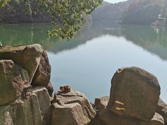 -白马涧龙池景区