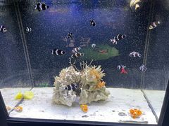 -沈阳海洋探索中心