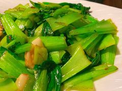 油渣上海青-韵秋荷(宝山龙湖天街店)