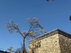 -承恩寺