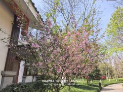 -爱你宝贝儿童摄影(西湖云端店)