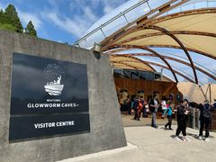 -怀托摩萤火虫洞