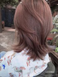 -V-STAR威斯达•高级私人定制