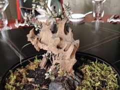 -金枝玉叶上海人家食府(三里河店)