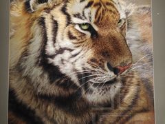 -湖南湘绣博物馆